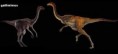 Gallimimus bullatus